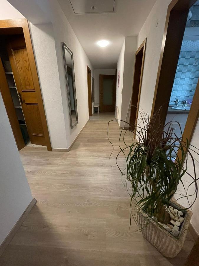Apartment Wildalmblick Neukirchen am Großvenediger 외부 사진